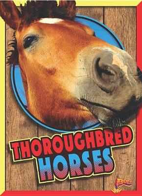 Book cover for Thoroughbred Horses