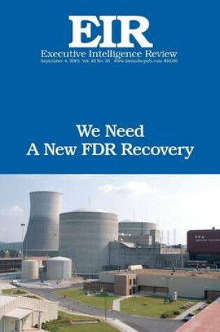 Cover of We Need A New FDR Recovery