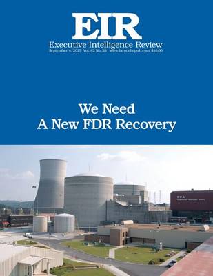 Book cover for We Need A New FDR Recovery
