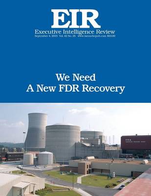 Cover of We Need A New FDR Recovery