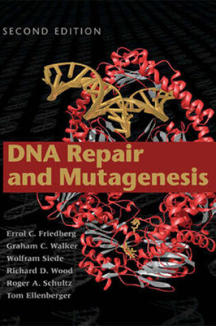 Cover of DNA Repair and Mutagenesis
