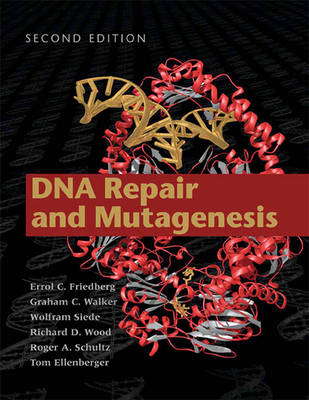 Book cover for DNA Repair and Mutagenesis