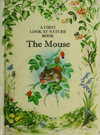 Cover of The Mouse