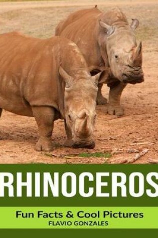 Cover of Rhinoceros