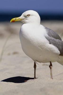 Book cover for Silver Gull Journal