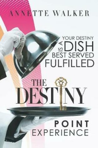 Cover of The Destiny Point Experience