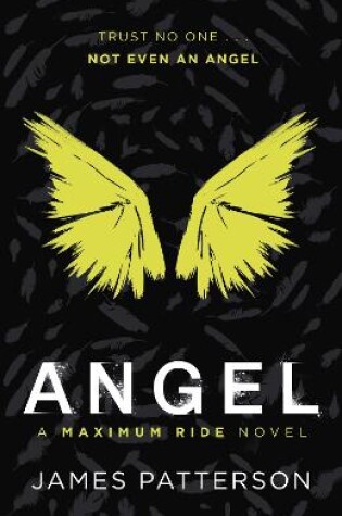 Cover of Angel: A Maximum Ride Novel