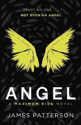Book cover for Angel: A Maximum Ride Novel