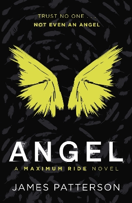 Cover of Angel: A Maximum Ride Novel