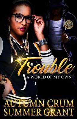 Book cover for Trouble