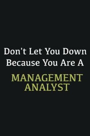 Cover of Don't let you down because you are a Management Analyst