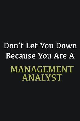 Book cover for Don't let you down because you are a Management Analyst