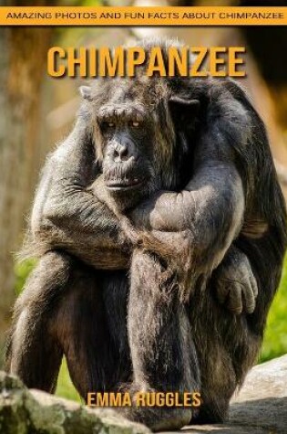 Cover of Chimpanzee