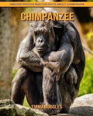 Book cover for Chimpanzee