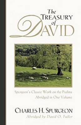 Book cover for The Treasury of David