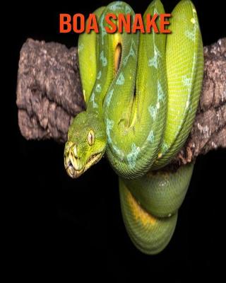 Book cover for Boa Snake