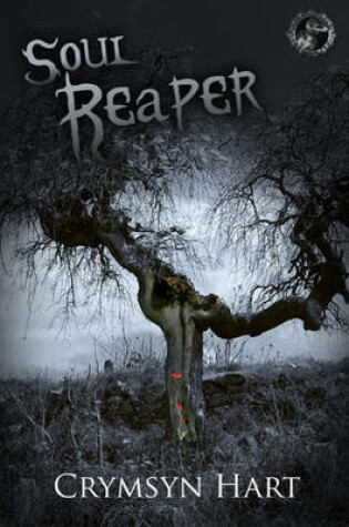 Cover of Soul Reaper