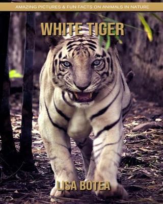 Book cover for White Tiger