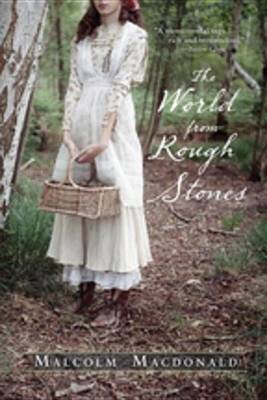 Book cover for The World from Rough Stones