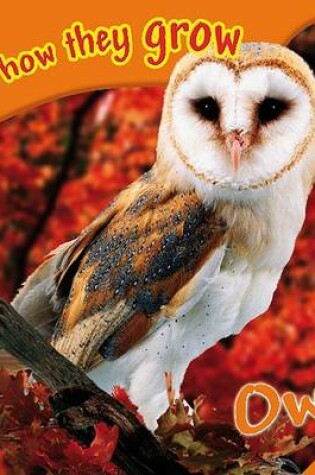 Cover of See How They Grow: Owl