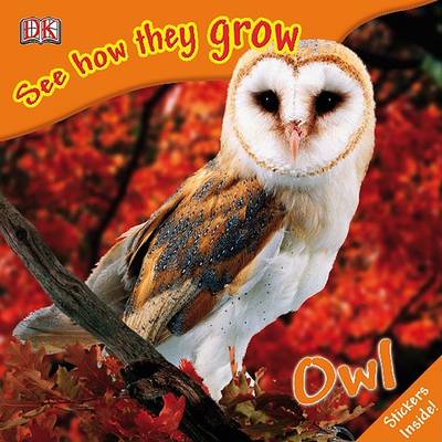 Book cover for See How They Grow: Owl