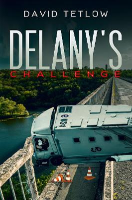 Book cover for Delany's Challenge