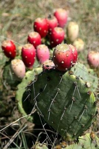 Cover of Prickly Pear Cactus Plant in Texas Journal