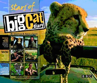 Book cover for Stars of Big Cat Diary