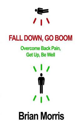 Book cover for Fall Down, Go Boom
