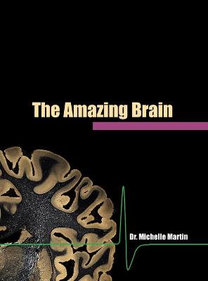 Book cover for The Amazing Brain