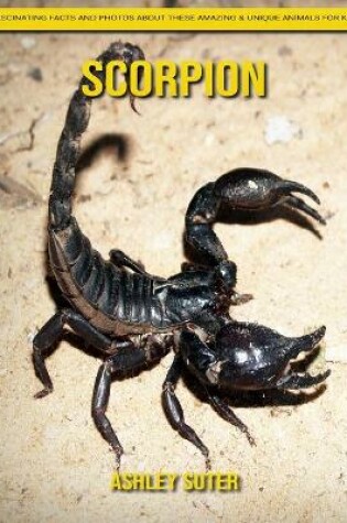 Cover of Scorpion