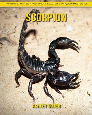 Book cover for Scorpion