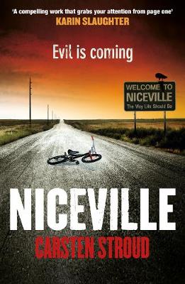 Book cover for Niceville