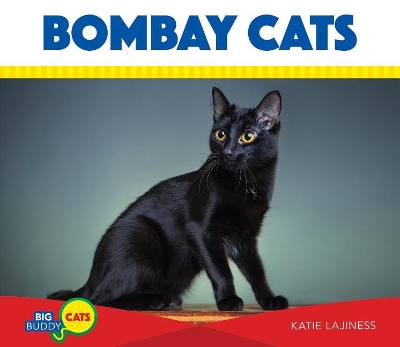 Cover of Bombay Cats