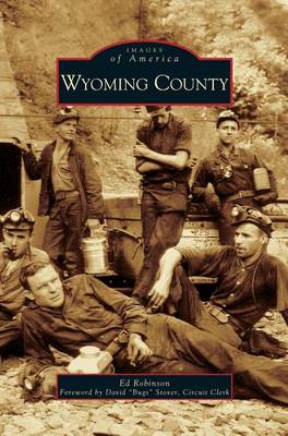 Book cover for Wyoming County