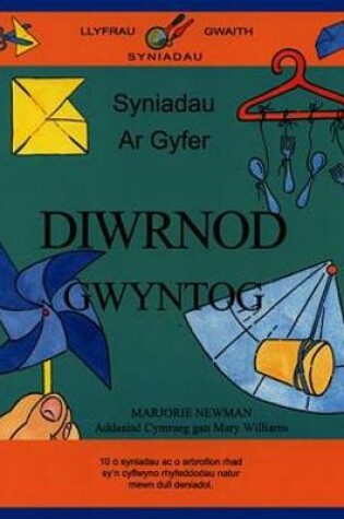 Cover of Llyfrau Gwaith Syniadau: Syniadau ar Gyfer Diwrnod Gwyntog