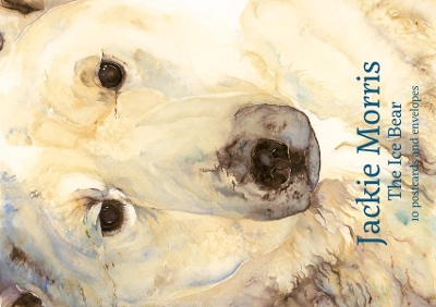 Book cover for Jackie Morris Postcard Pack: The Ice Bear
