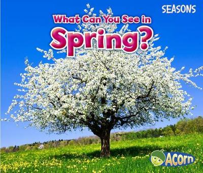 Book cover for Seasons What Can You See in Spring?