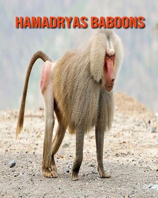 Book cover for Hamadryas Baboons
