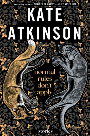 Cover of Normal Rules Don't Apply