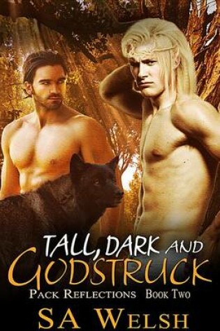 Cover of Tall, Dark and Godstruck