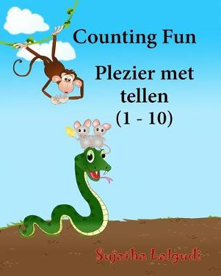 Book cover for Counting Fun. Plezier met tellen