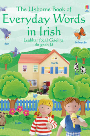 Cover of Everyday Words in Irish