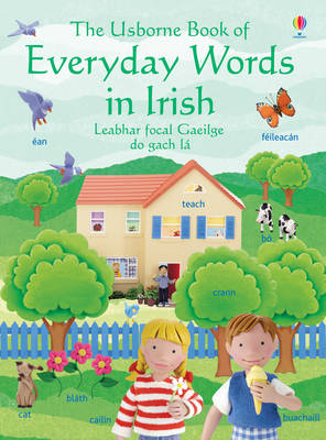 Book cover for Everyday Words in Irish