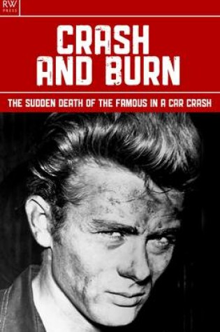 Cover of Crash and Burn