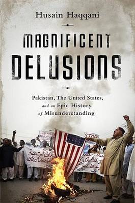 Book cover for Magnificent Delusions