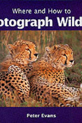 Cover of Where and How to Photograph Wildlife