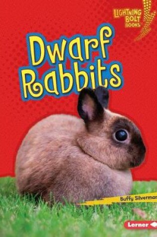 Cover of Dwarf Rabbits