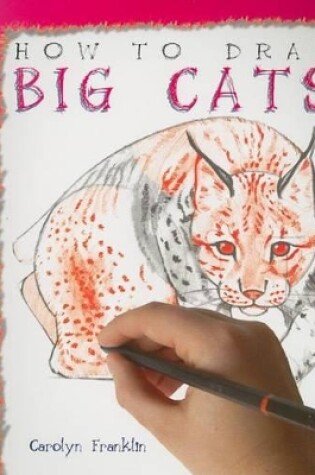 Cover of How to Draw Big Cats