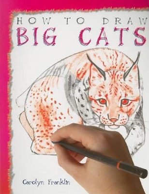 Book cover for How to Draw Big Cats